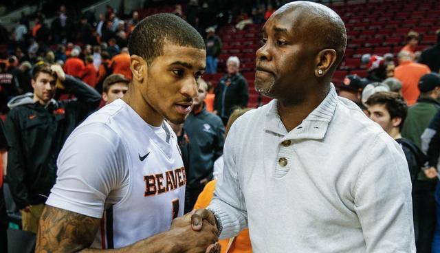 队和战术体 队和战术体