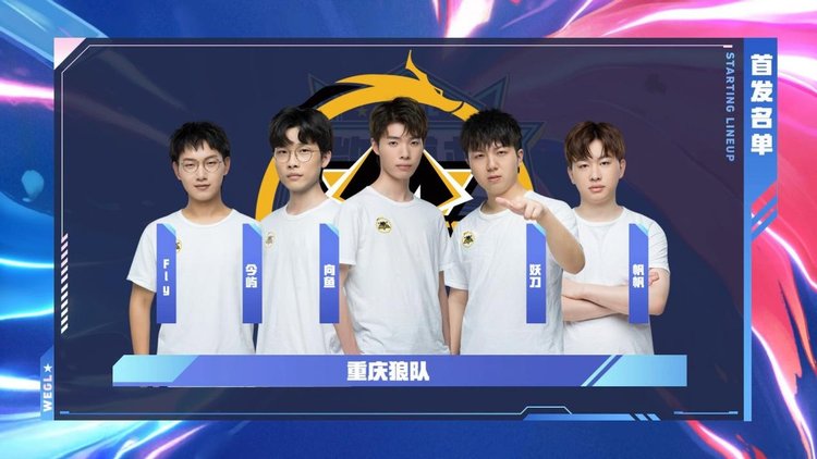 与TP支援